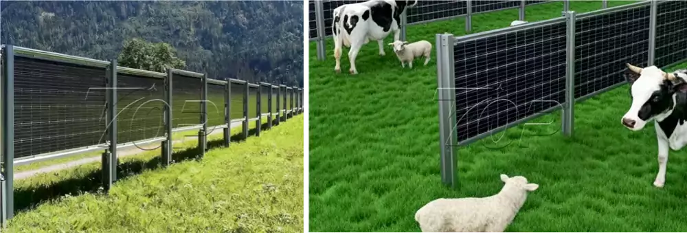 Solar Fencing